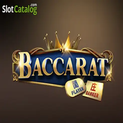 ব্যাকারেট C08 - dkgame